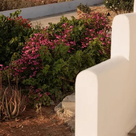 Aurea Blu 07, Warmth, Sun, Nature And Sea Aliko Beach